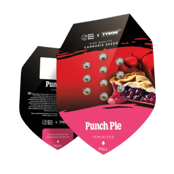 Samen 3x Punch Pie feminisiert Royalqueenseeds